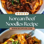 Slow Cooker Korean Beef Noodles Recipe