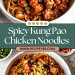 Spicy Kung Pao Chicken Noodles Recipe