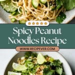 Spicy Peanut Noodle Salad Recipe