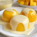 Easy Simple Mango Pudding Recipe
