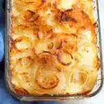 Tennessee Onions Recipe