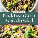 Black Bean Corn Avocado Salad Recipe