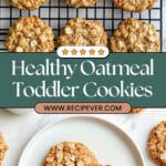 Healthy Oatmeal Toddler Breakfast Cookies Recipe