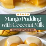 Easy Simple Mango Pudding Recipe