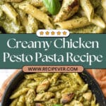Creamy Chicken Pesto Pasta Recipe