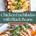 Chicken Enchiladas Recipe