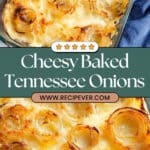 Tennessee Onions Recipe