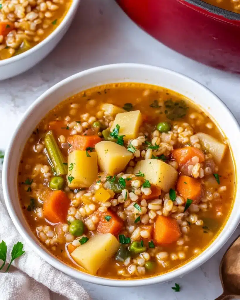 Vegetable Barley Soup Recipe