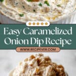 Caramelized Onion Dip Recipe