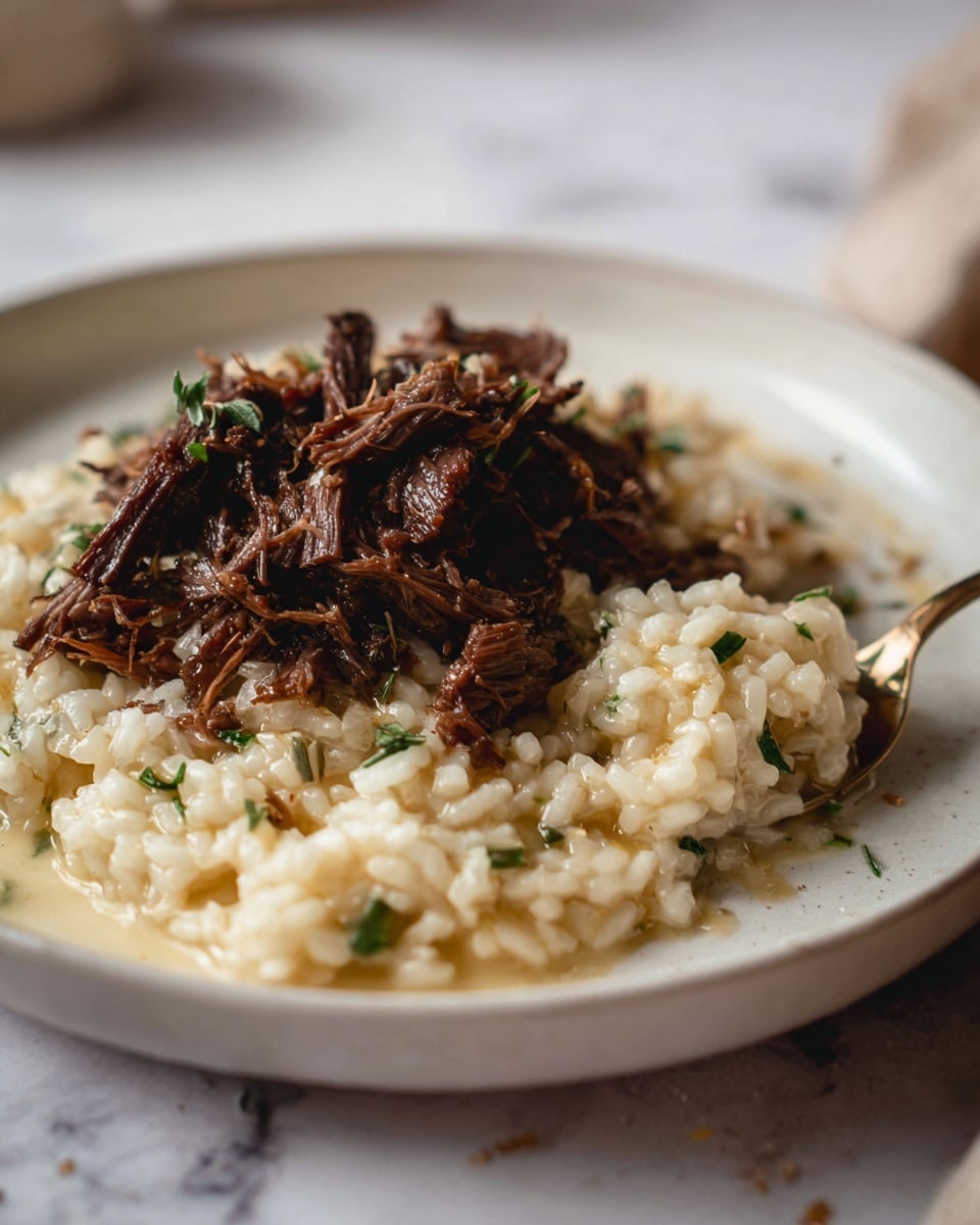 A close-up of a white plate on a white marbled surface with two clear layers of food: the bottom layer is creamy risotto with visible small green herbs and a soft, smooth texture; on top is a generous pile of shredded dark brown meat with a fibrous texture. A fork rests on the right edge of the plate, partially touching the risotto. The scene is softly lit, making the food look warm and inviting. photo taken with an iphone --ar 4:5 --v 7